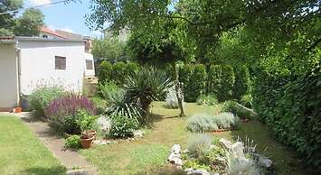 Višnja - Free Parking - A1