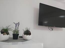 Mario - 5 Minutes to the Beach - A1