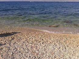 Dino - 20m From the sea - SA2