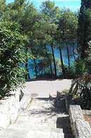 Dino - 20m From the sea - SA2