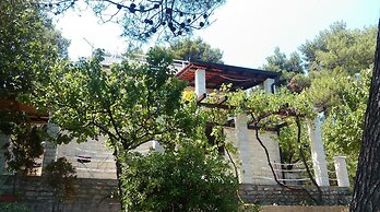 Dino - 20m From the sea - SA2