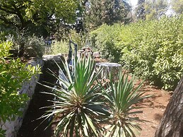 Dino - 20m From the sea - SA2