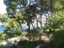 Dino - 20m From the sea - SA2