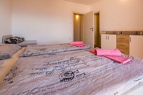 Tomica - Open Pool - A2 Mali