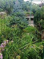 Anka - Comfortable and Affordable - A2