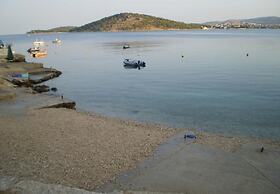 Vik - 60 m From the sea - A1