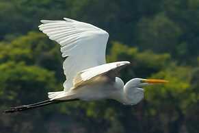 Amazon Boto Lodge