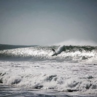 FreeSurfCamp