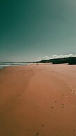 FreeSurfCamp
