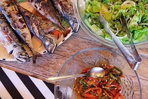 FreeSurfCamp & Hostel