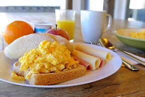 FreeSurfCamp & Hostel