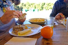 FreeSurfCamp & Hostel