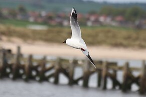 Kindly Light Cottage