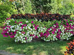 Paddock Cottage - Thorpe Arnold, Melton Mowbray