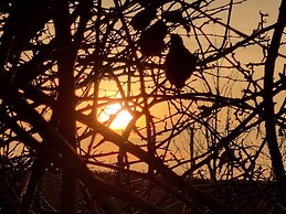 Paddock Cottage - Thorpe Arnold, Melton Mowbray