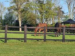 Paddock Cottage - Thorpe Arnold, Melton Mowbray