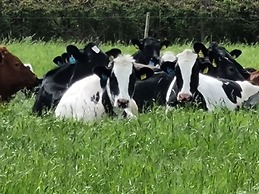 Paddock Cottage - Thorpe Arnold, Melton Mowbray