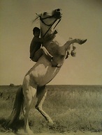 La Cabane du Boumian