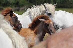 La Cabane du Boumian