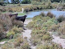 La Cabane du Boumian