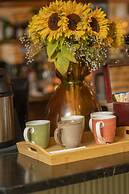 Voilá Centro Histórico