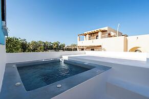 Villa Kocis with Private Pool