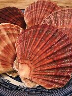 Kirkapol Beach Pod - Flow