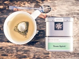 Rhein-Hotel St. Martin