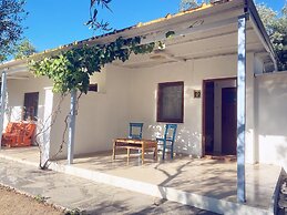 Elysium Garden Assos Bungalow & Glamping