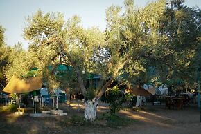Elysium Garden Assos Bungalow & Glamping