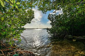 NEW Apartment! Ocean View! Amazing Sunsets