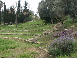 Neve Shalom