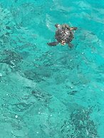 Sun Reef Village on Sea