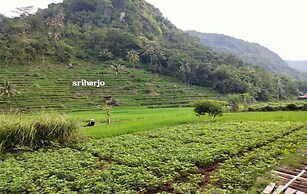 HOMESTAY MBAH POMO SRIHARJO