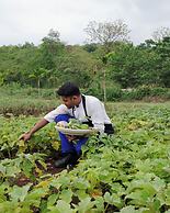The Postcard Hideaway Netravali Goa