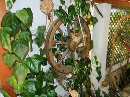 Apartments and Rooms Darinka