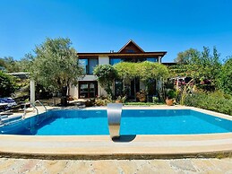 Artistic Villa With Private Pool, Bodrum, Turkey