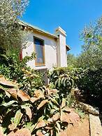 Artistic Villa With Private Pool, Bodrum, Turkey