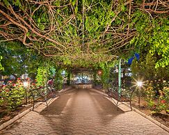 Hotel Alba - All Inclusive