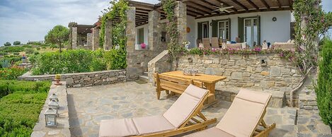 Villa Suerte in Paros