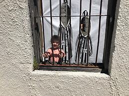 Anna Maria Island Absolute Anna Maria-private Beach Access-heated Pool