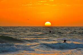 Anna Maria Island Beach Palms 2A
