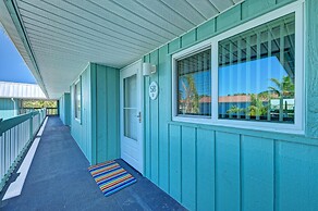 Anna Maria Island Beach Palms 5B