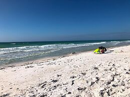 Anna Maria Island Beach Palms 6B