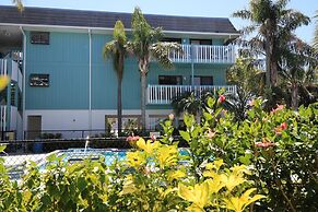 Anna Maria Island Beach Palms 6B