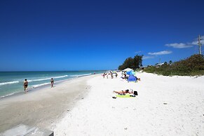 Anna Maria Island Beach Palms 7A