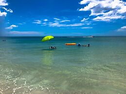 Anna Maria Island Beach Palms 7A