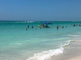 Anna Maria Island Beach Palms 7A