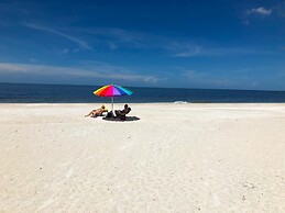 Anna Maria Island Beach Palms 7A