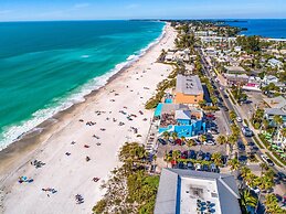 Anna Maria Island Beach Palms 8B
